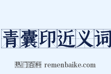 青囊印近义词是什么意思的图片